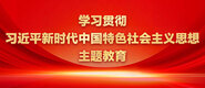 美女草逼视频网站学习贯彻习近平新时代中国特色社会主义思想主题教育_fororder_ad-371X160(2)